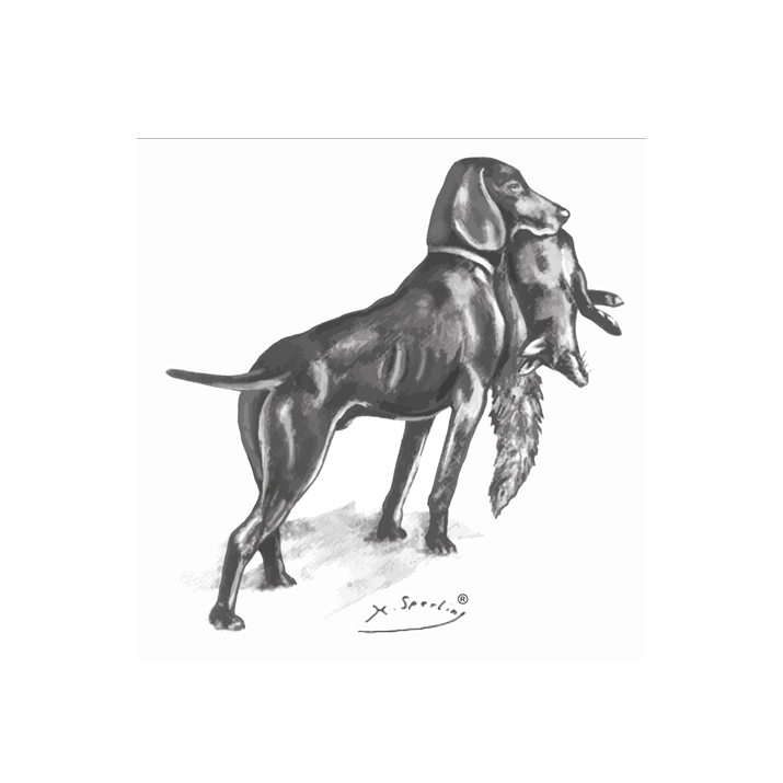 JGHV